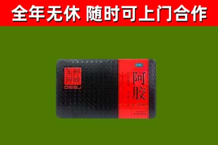恩阳区回收阿胶